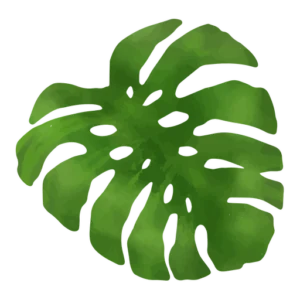 Luau Only: Admission to Luau Only (6-8pm Click for details)